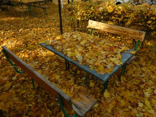 Biergarten. End of the season abandoned benches covered with autumn leaves