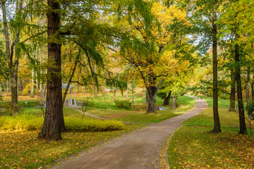 Path in beautiful autumn Park, St. Petersburg, Russia.