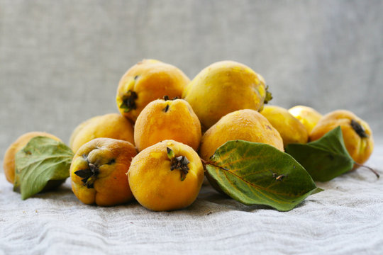 Quitten - Birnenquitte - unbehandelte, nat&uuml;rliche Fr&uuml;chte aus dem Garten, cydonia, cydonia oblonga, saisonales Obst aus der Region