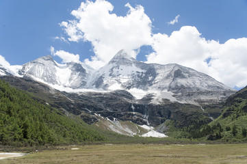 Fototapeta na wymiar Tibet snow mountain with Grassland