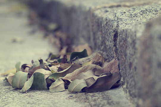 Pile of Autumn leaves in the gutter on street