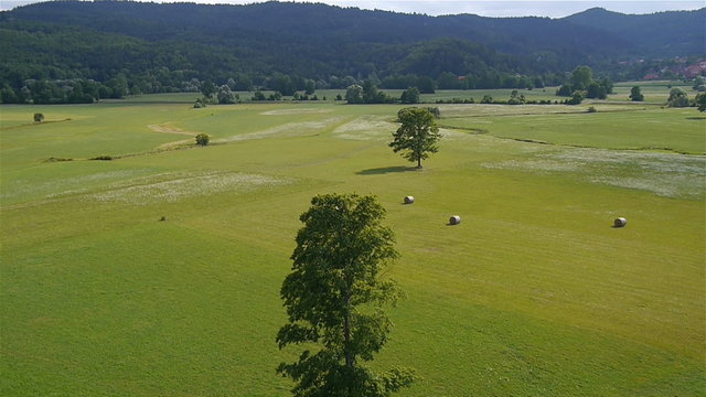 AERIAL: Nature in spring