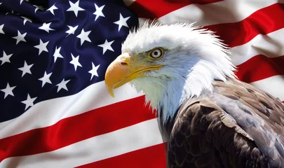Printed kitchen splashbacks Eagle North American Bald Eagle on american flag