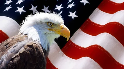 Fototapete Adler Nordamerikanischer Weißkopfseeadler auf amerikanischer Flagge