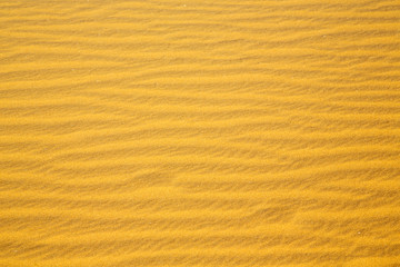 Fototapeta na wymiar africa the brown sand dune in sahara