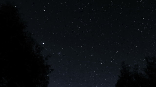 Long time lapse of circular moving stars on night sky with tree silhouettes in the foreground