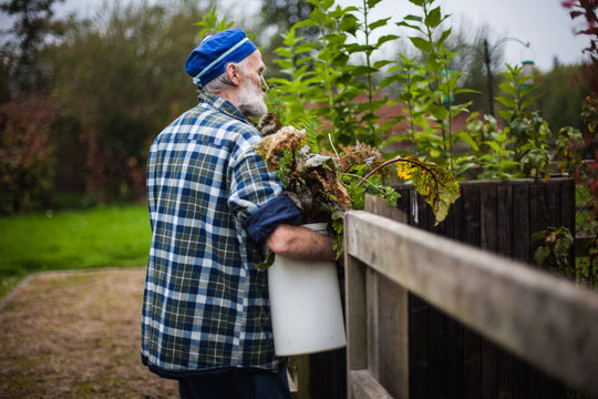 Senior man gardening, carrying bucket of dead leaves