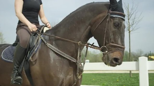 SLOW MOTION: Dressage female rider horseback riding in arena