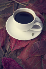 leaves of a coffee cup