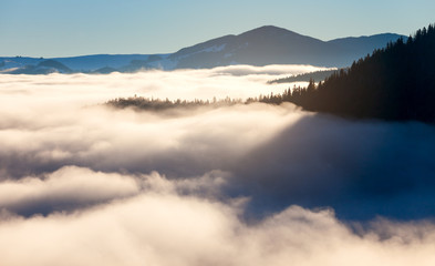 The sea of fog with forests as foreground