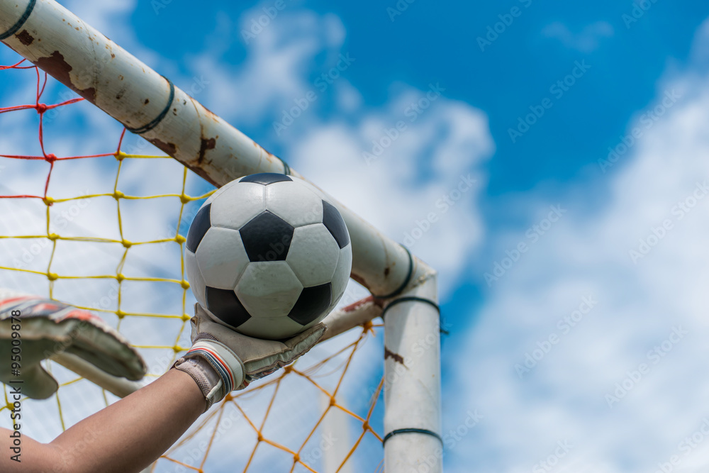 Wall mural Goalkeeper catches the ball