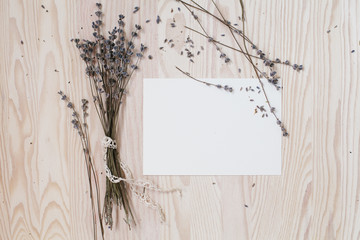 background with Lavender and watercolor paper as a copy space