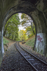 Fototapeta na wymiar Eisenbahntunnel, mit in den bunten Wald führenden Schienen
