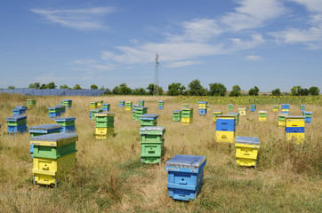Beehives in a countryside and solar panels
