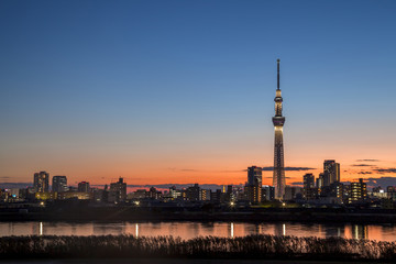Obraz premium 東京スカイツリー 夕景