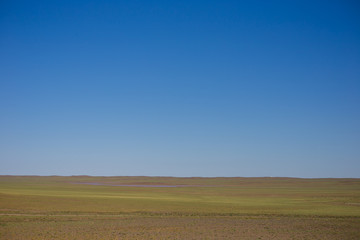 Mongolian steppe in september