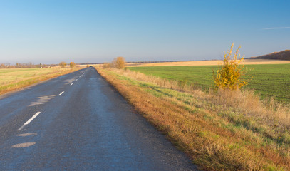 Naklejka premium Empty road in central Ukraine at fall season