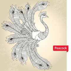 Ornate Peacock in white on the textured beige background