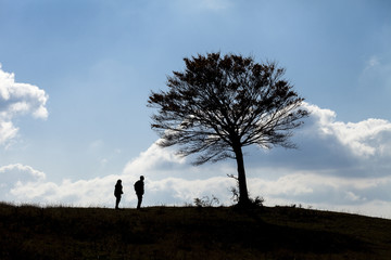 Tutela ambientale : due persone guardano un albero in silhouette. Nuvole bianche e cielo blu sullo sfondo