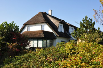 Fototapeta na wymiar Haus mit Reetdach bei Boltenhagen / Ostsee