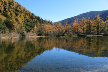 上高地の明神池