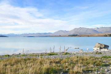 Lake Tekapo, South Island, New Zealand
