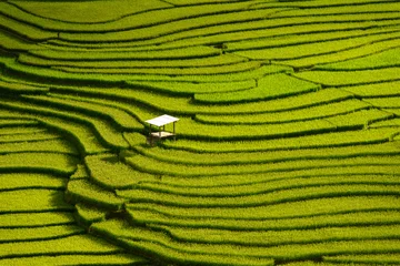Fotobehang Mu Cang Chai Prachtig landschap groen terrasvormig rijstveld in Mu cang chai, V