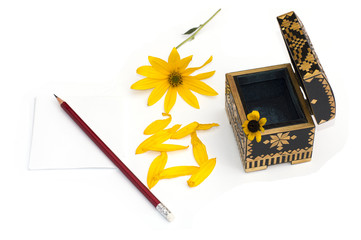 still life an open casket, a yellow flower, petals and a pencil