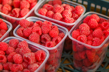 Raspberries on the seasonal farmers market for sale at local market in europe