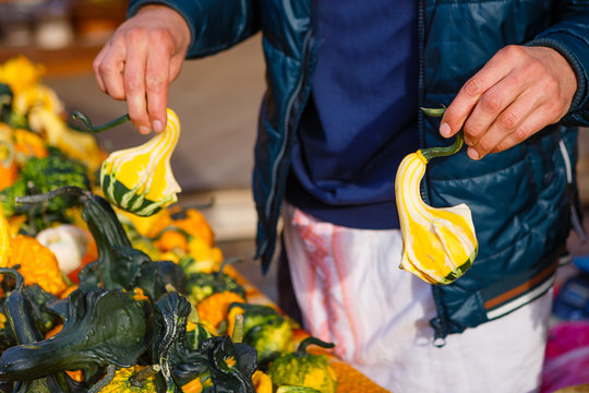 Hands of Seller show Squash and Pumpkins on the seasonal market at local market in europe