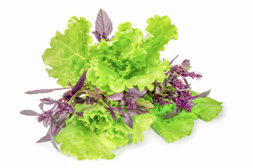 Fresh mixed salad leaves over white background
