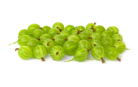 Closeup of green gooseberry isolated