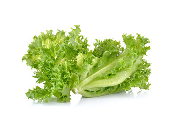 Fresh green lettuce  on  white  background