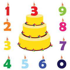 Birthday cake with candles - obrazy, fototapety, plakaty