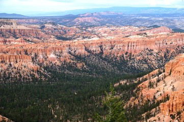 Fototapeta na wymiar Bryce Canyon National Park in Utah