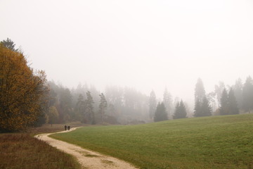 Nebel - Landschaft im Wental im Herbst