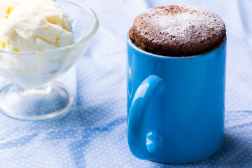  mug cake prepared in microwave