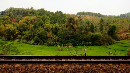 Eisenbahnschienen führen durch grüne, tropische Landschaft in Java