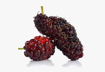 Fresh mulberry isolated on white background.