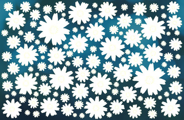 Pattern of SINGAPORE daisy flower field in white and blue colour shade