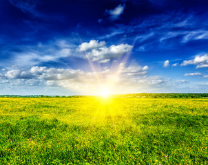 Fototapeta na wymiar Spring summer background - blooming field meadow