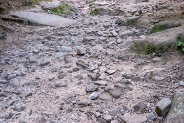 soil with stones