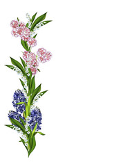 Obraz premium hyacinth isolated on white background