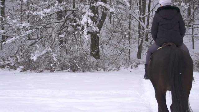 Young woman horseback riding on a snowy glade