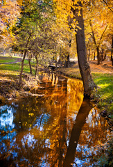 Bright morning over river in the forest. River and trees in fall. Autumnal morning with beautiful warm colors in park