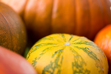 close up of pumpkins