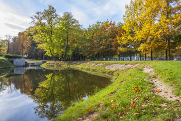Fototapeta na wymiar Autumn Foliage In The Park