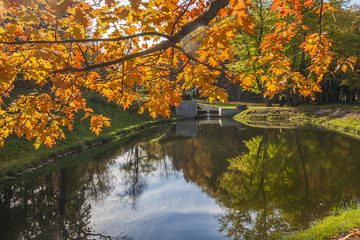 Autumn Reflection On the Lake in The Park