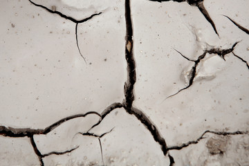 Fototapeta premium Background of dry cracked soil dirt or earth
