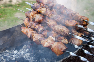 Skewers with meat on the barbecue grill